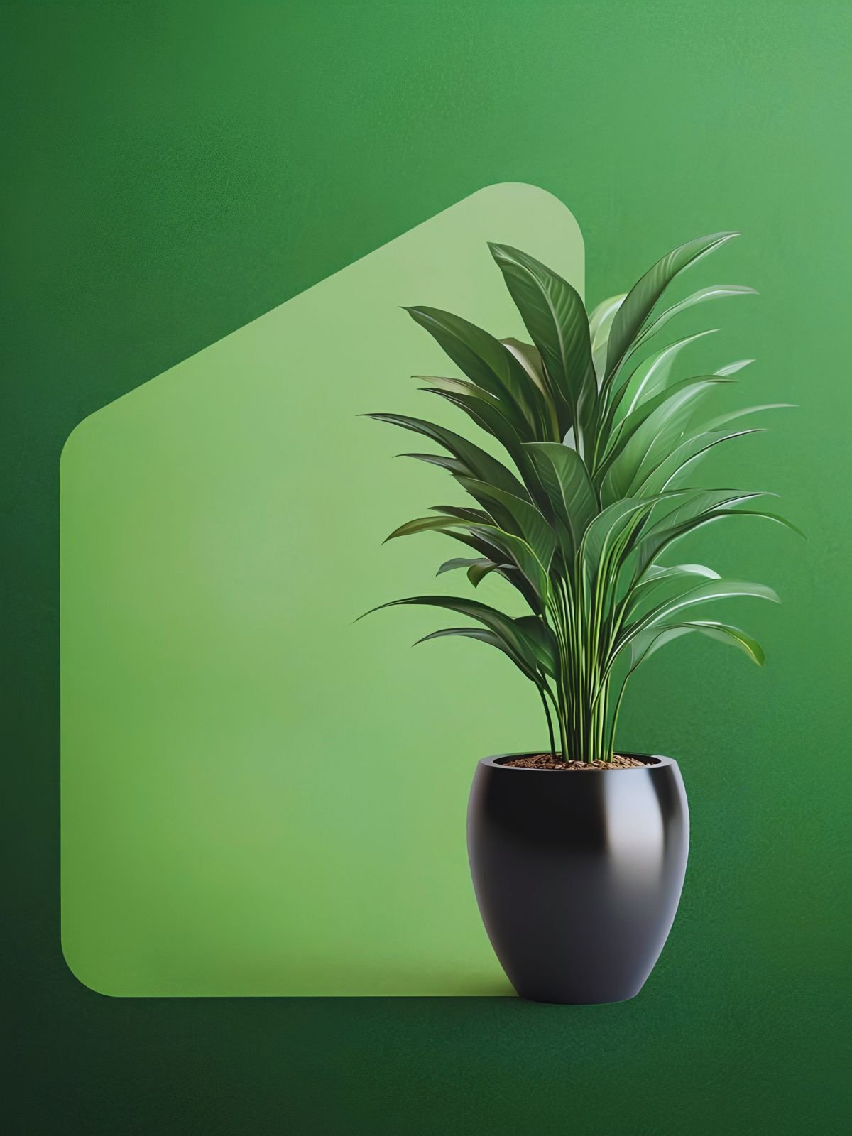 ALGIAM Business Growth